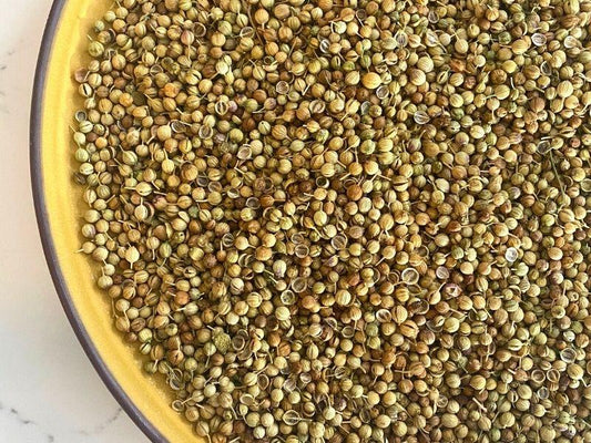 INTRODUCTION TO CORIANDER SEEDS