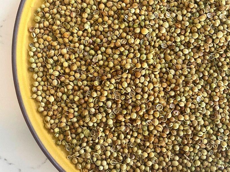 Coriander Seeds () Coriander Seeds