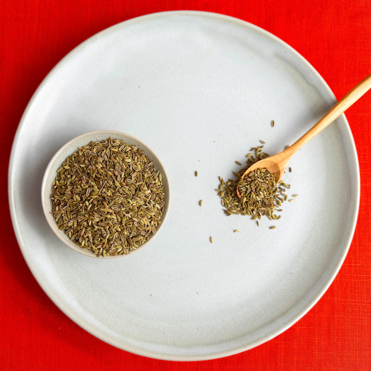 Wild Foraged Fennel Seed