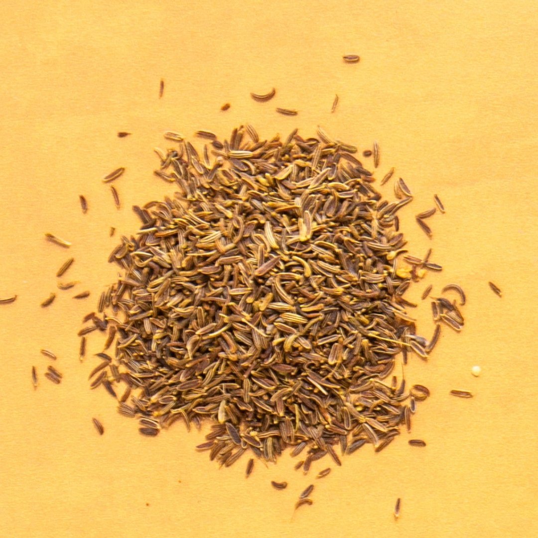 Wild Foraged Fennel Seed - Flatpack - Rumi Spice - Rumi Spice -