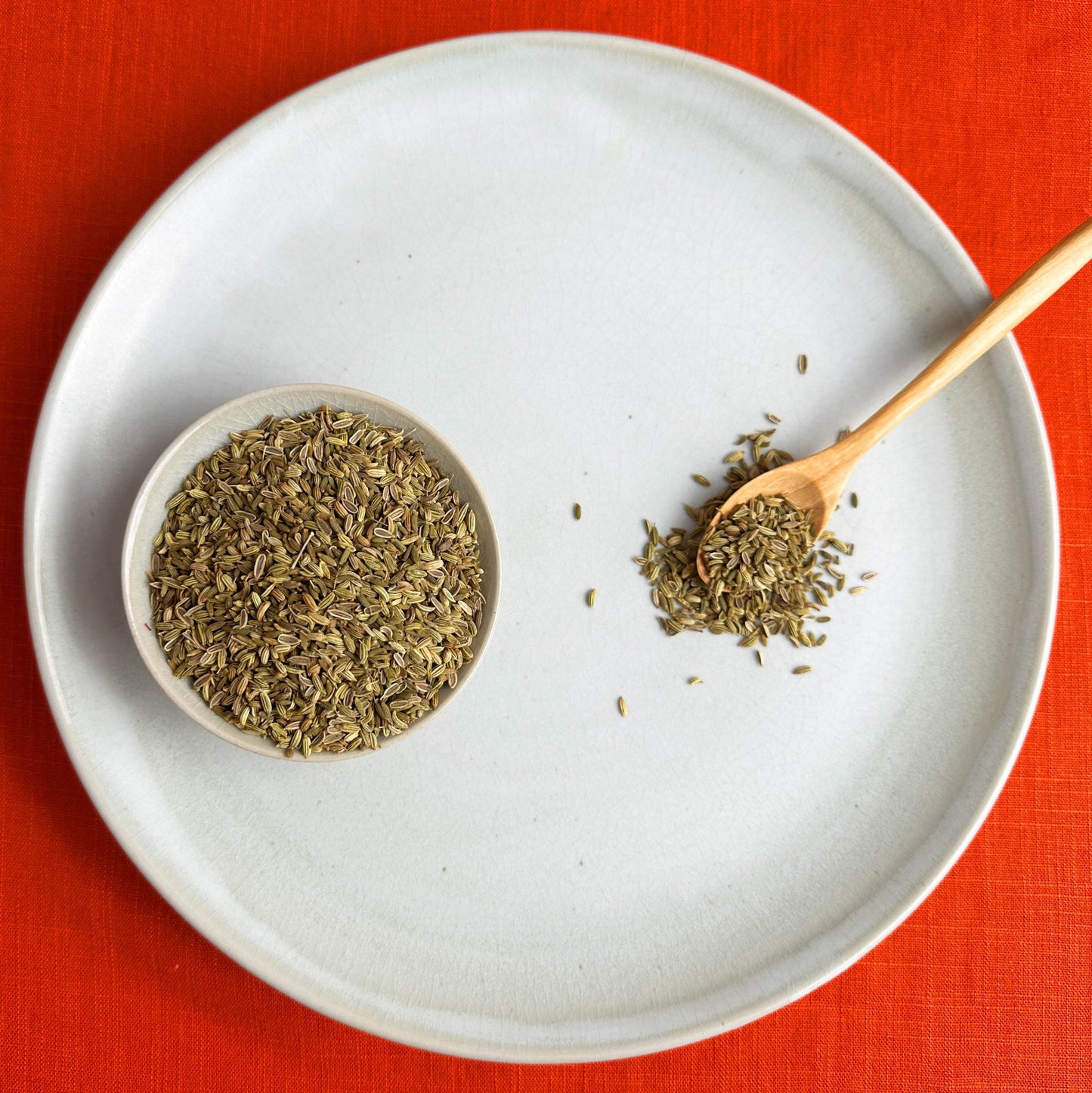 Wild Foraged Fennel Seed - Flatpack - Rumi Spice - Rumi Spice -