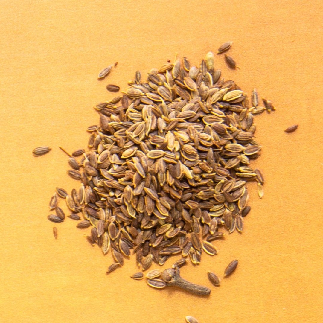 Wild Black Cumin, Whole Seed - Rumi Spice - Rumi Spice -