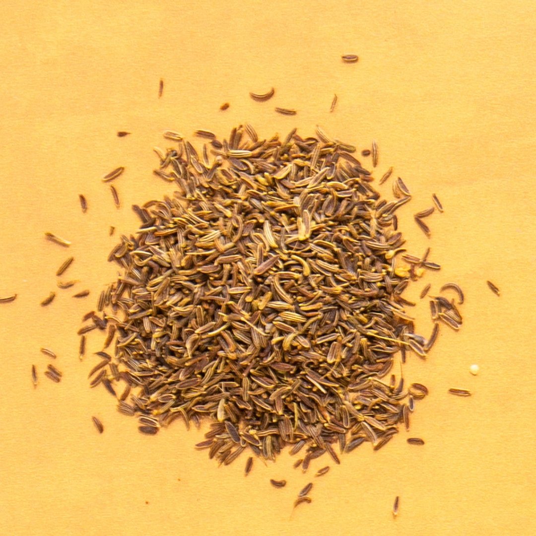 Wild Foraged Fennel Seed