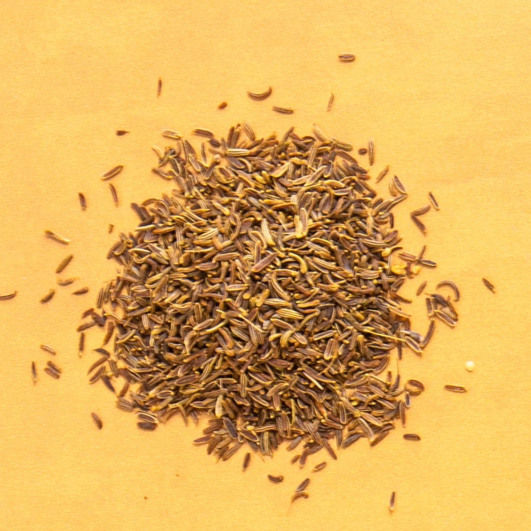 Wild Foraged Fennel Seed