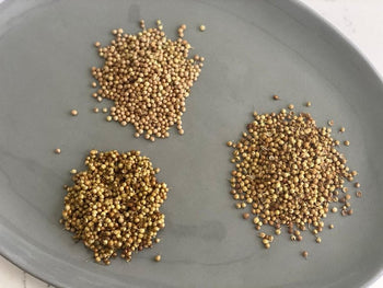 3 Ways to Toast Whole Spices For Aromatic & Robust Flavors – Rumi Spice