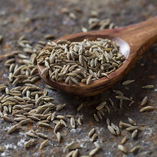 Candied Fennel Seeds - Rumi Spice
