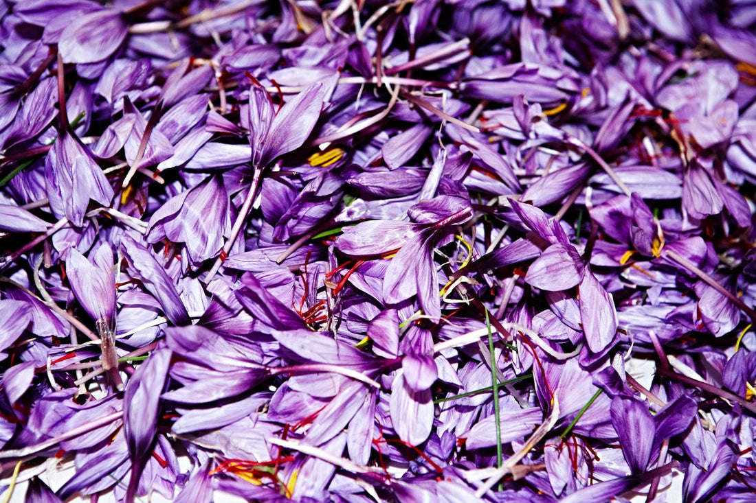Purple River - Rumi Spice