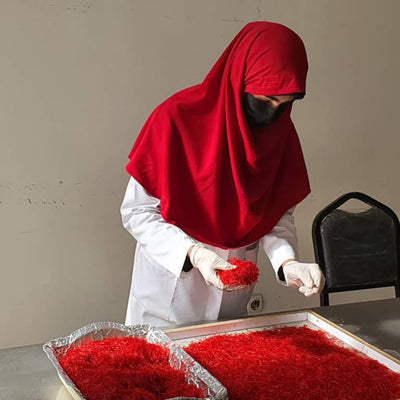 Reflecting on One Year Since the Afghan Taliban Takeover