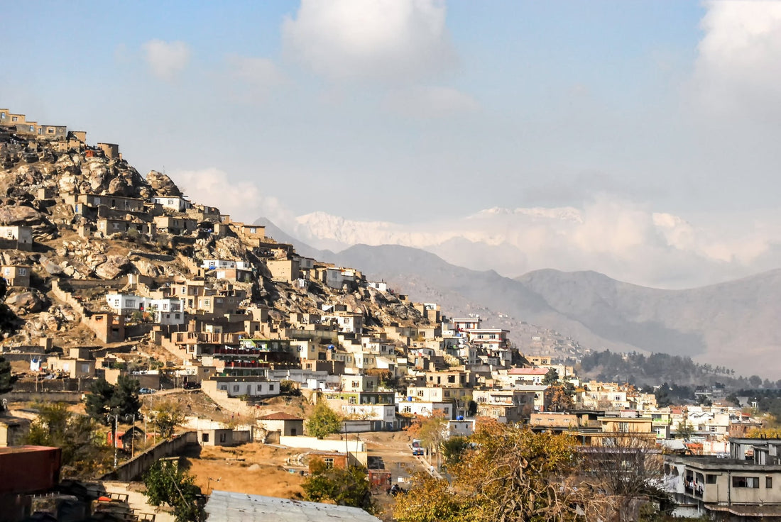 Rumi Spice 2019 Social Impact Report - Rumi Spice