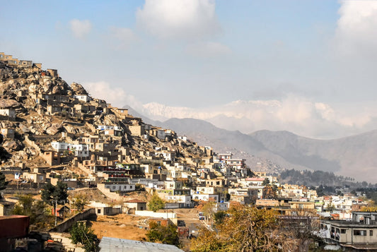 Rumi Spice 2019 Social Impact Report - Rumi Spice