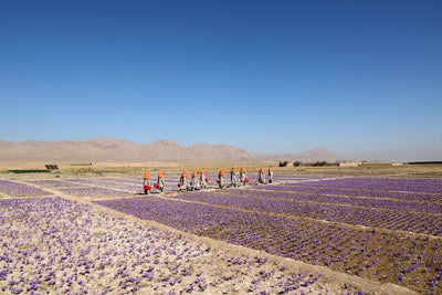 Rumi Spice's Commitment to Earthquake Relief in Afghanistan