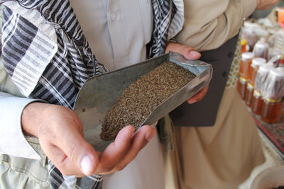 An Inside Look At The Farming of Fennel, Cumin, Coriander and Dill Seed