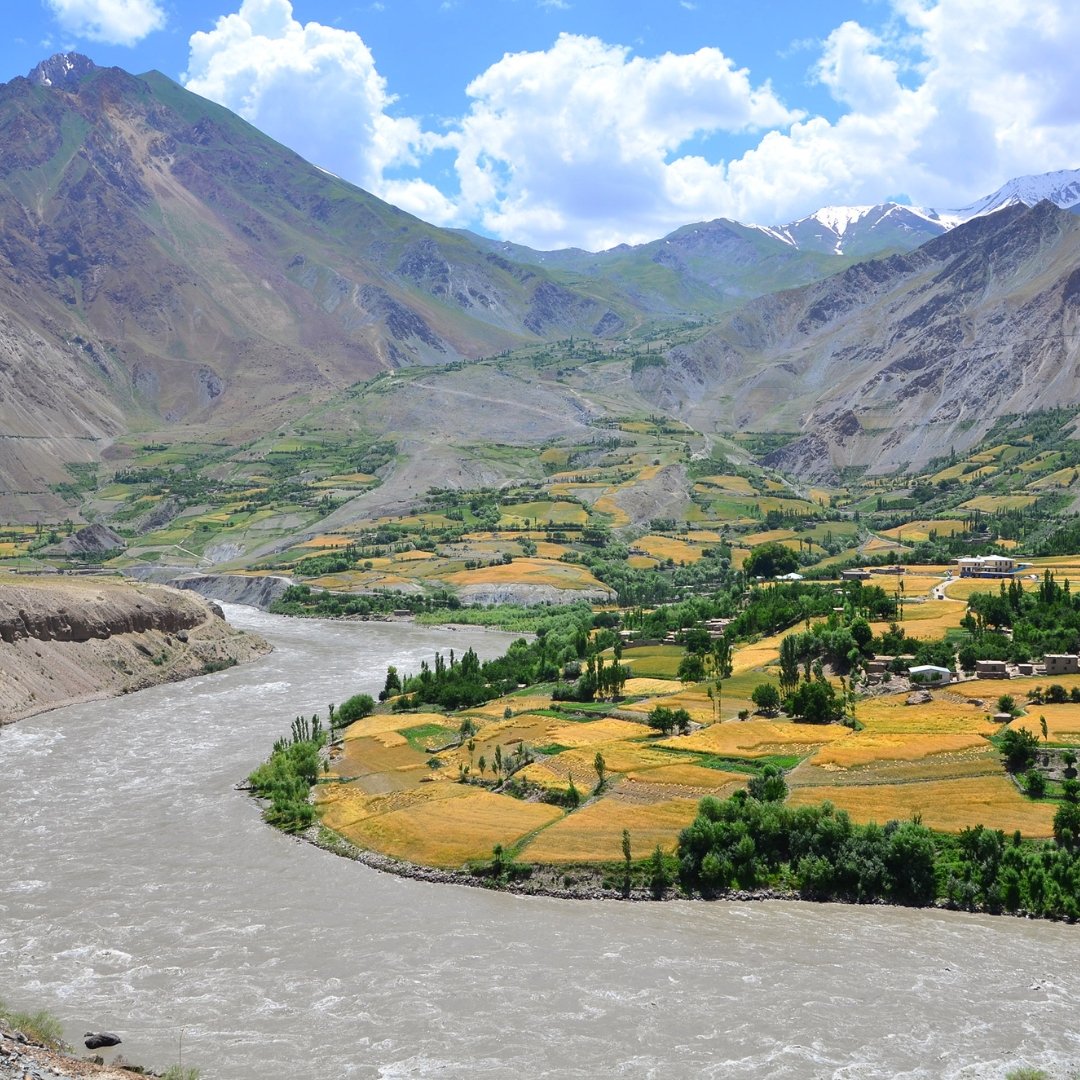 Take a Look Inside the Summer Spice Harvest in Afghanistan with our Head Farmer, Shakoor - Rumi Spice