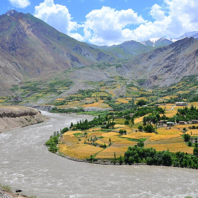 Take a Look Inside the Summer Spice Harvest in Afghanistan with our Head Farmer, Shakoor