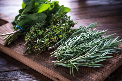 The Best Springtime Herbs for Your Garden