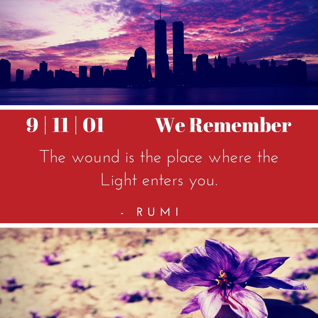 The Wound is the Place where the Light enters you. - Rumi Spice
