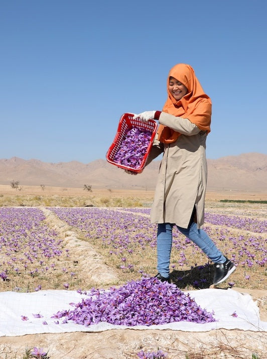 dumping-saffron-smile.jpg__PID:5f394354-746e-4314-ab46-de7883f54d86