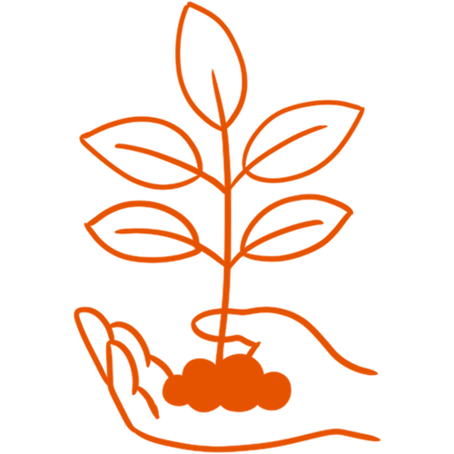 organic.png__PID:b892d60c-360e-4a19-9ec6-1223f3366e2f