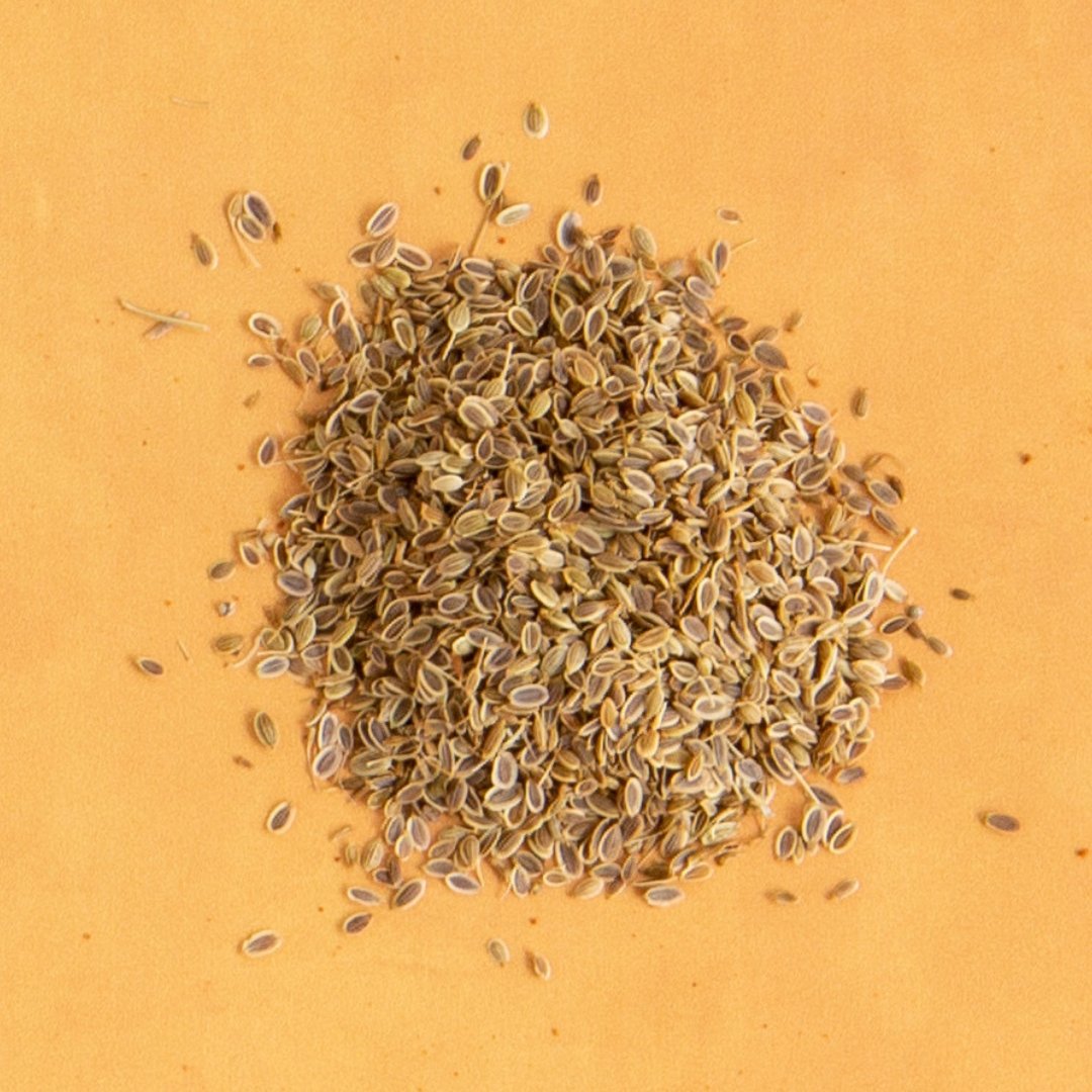 Dill Seed - Rumi Spice - Rumi Spice -