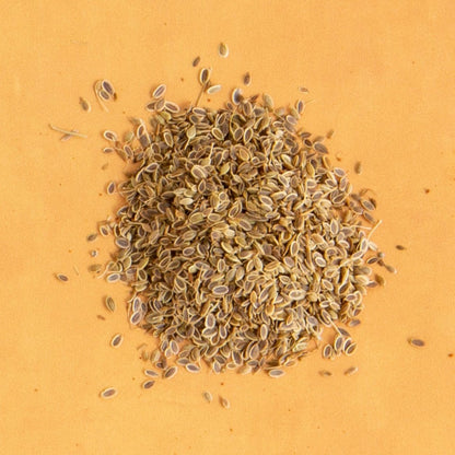 Dill Seed - Rumi Spice - Rumi Spice -