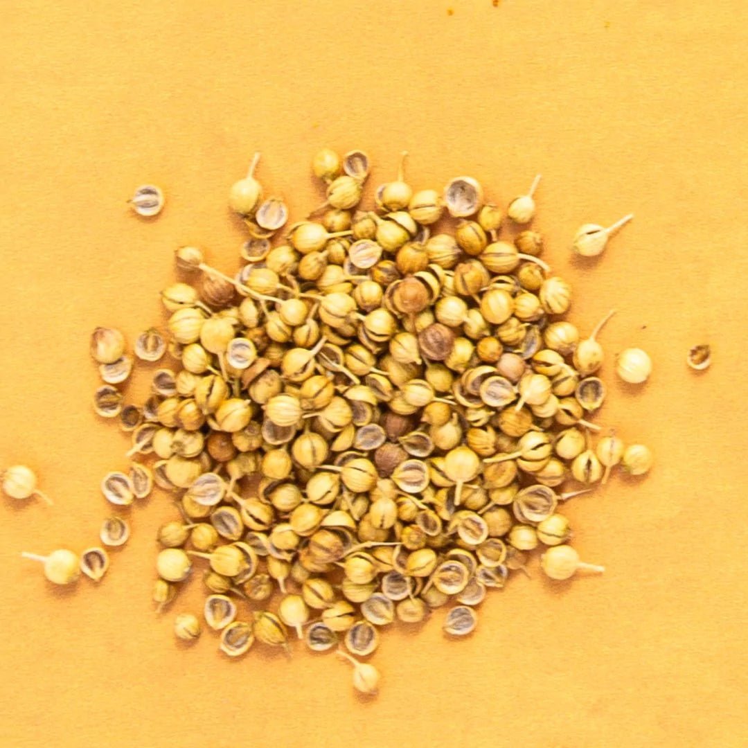 Ground Coriander - Rumi Spice - Rumi Spice -